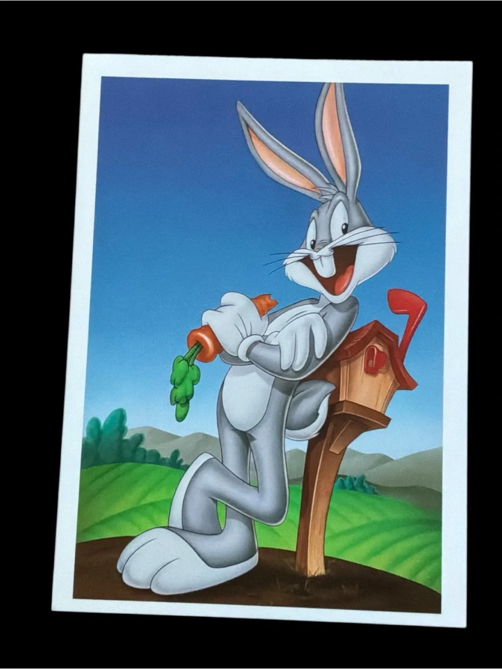 Vintage Looney Tunes Postcards Warner Bros Lot of 5 Unwritten 1990s